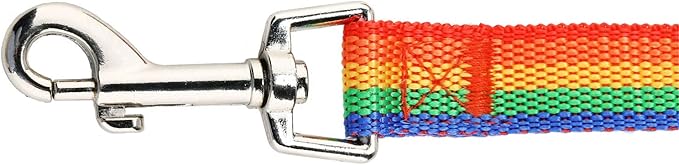 Hi Kiss Dog/Puppy Obedience Recall Training Agility Lead - 15ft 20ft 30ft 50ft 100ft Training Leash - Great for Training, Play, Camping, or Backyard (30 Feet, Rainbow)