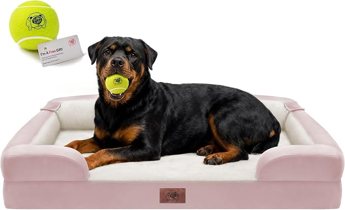 Orthopedic Dog Bed for Extra Large Dogs, XXL Waterproof Egg Crate Memory Foam Pet Bed Bolsters with Removable Washable Cover & Non-Slip Bottom, Tennis Ball Toy, 45 x 35
