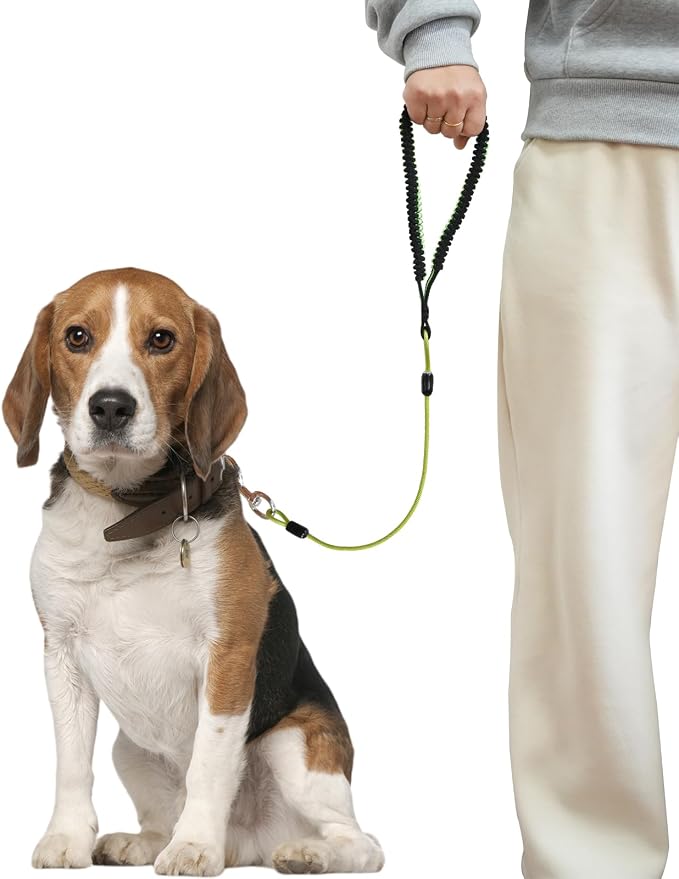 Heavy Duty Dog Leash, Chew Proof Metal Leash for Large Dogs (Up to 250lbs), WireRope Dog Leashes with Soft Silicone Grip (Green, 3 FT)