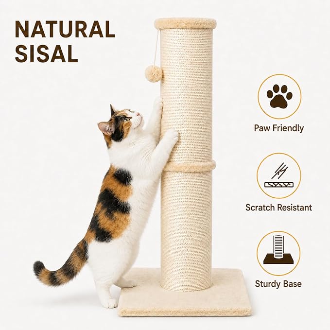 PAWSCRAT Cat Scratching Post 32 Inch High, 5.5 Inch Large Diameter Natural Sisal Cat Scratch Post, Scratch-Resistant and Durable Tall Cat Scratcher for Indoor Cats, Protect Your Furniture, Beige