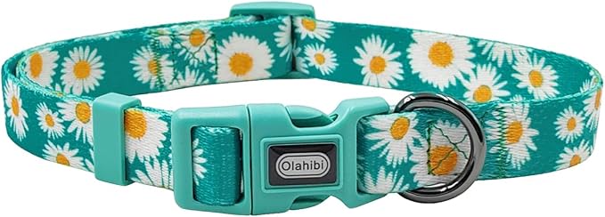 Dog Collar and Leash Set, Cute Daisy Pattern, Polyester Material, 5ft Leash, for Large Dogs.(Large,Green Daisy)