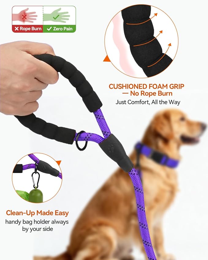 Joytale Dog Leash for Large Dogs, Heavy Duty Nylon Leashes with Comfortable Padded Handle and Highly Reflective Threads, Ideal for Walking and Training, Purple, 6'×1/2''