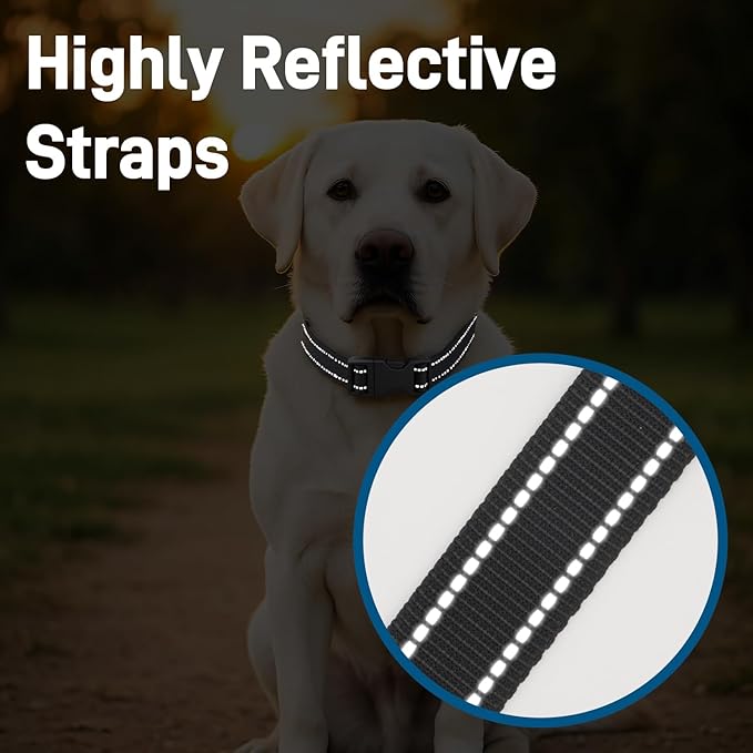 Dog Collar for Small Medium Dogs with Buckle, Breathable Adjustable Nylon Reflective Dog Collars, Black/Medium