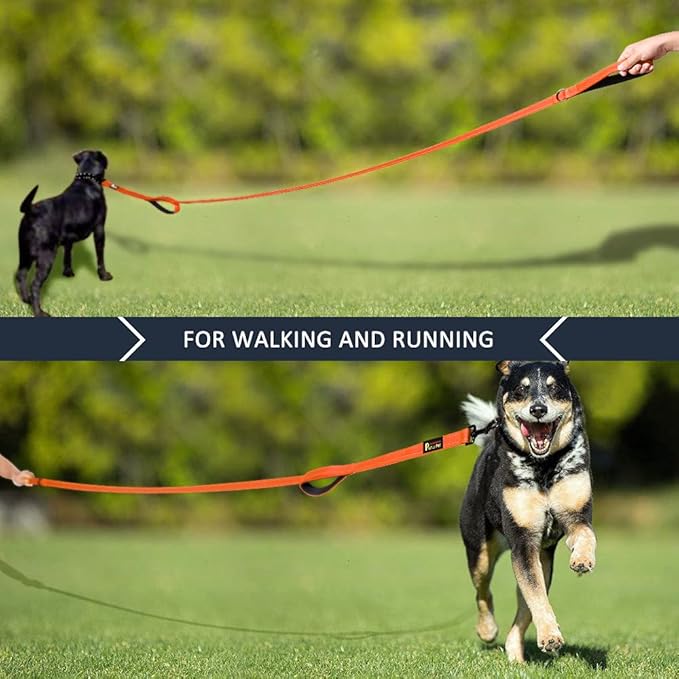 Plutus Pet Double Handle Dog Leash 4ft, Heavy Duty, Reflective Dual Handle Dog Leash for Safety Training, for Medium Large Dogs,2 Handle Leads(Orange)