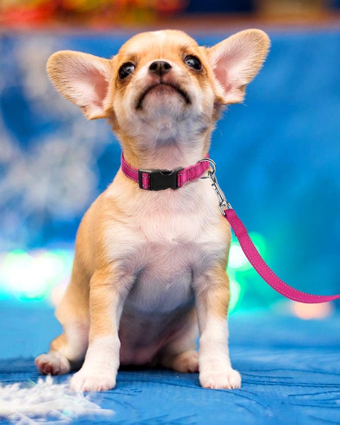 FunTags Length 8" - 12" Reflective Neon Pink Dog Collar for Puppy/Extra Small Dogs – Night Walking & Training Safety, Durable Quick Release Buckle, Nylon, Comfortable Adjustable, Width 3/8"