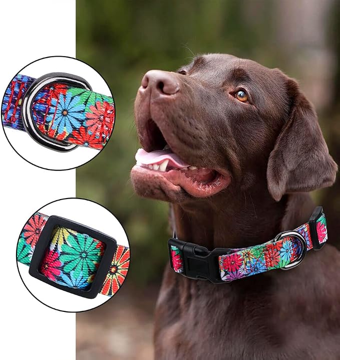 Dog Collar with Sunflowers Daisy Large