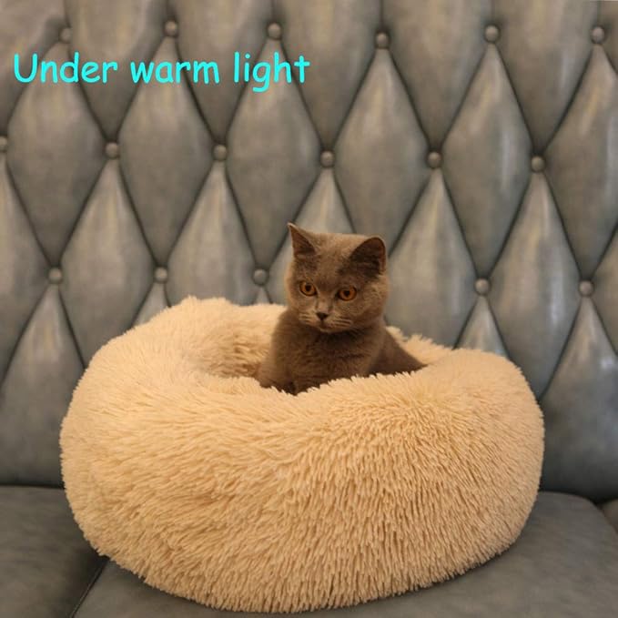 Modern Soft Plush Round Pet Bed for Cats or Small Dogs, Mini Medium Sized Dog Cat Bed Self Warming Autumn Winter Indoor Snooze Sleeping Cozy Kitty Teddy Kennel (20'' D x 8'' H, Champagne)