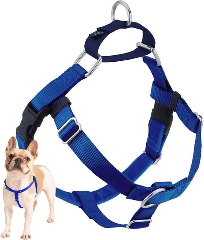 2 Hounds Design Freedom No-Pull No Leash Harness Only, 1-Inch, Large, Royal Blue