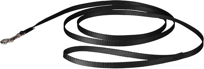 PetSafe Nylon Dog Leash Strong, Durable, Traditional Style Lead with Easy to Use Bolt Snap for Small, Medium and Large Dogs 3/8" x 6', Black