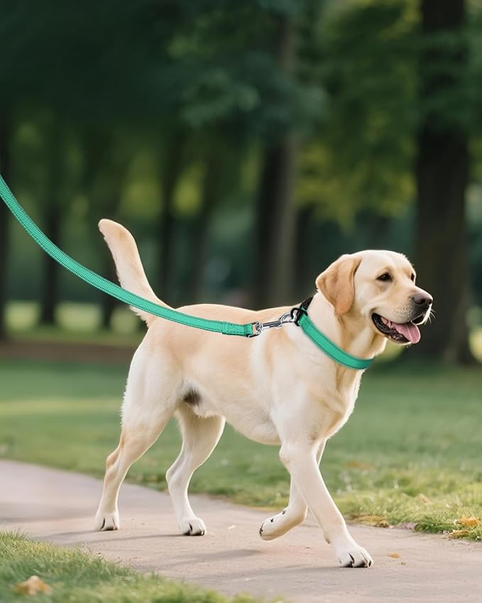 Joytale Extra Large Dog Collar, Wide Double-Sided Reflective Nylon Collar for Night Safety, Adjustable Quick-Release for Gentle Giants, Teal, XL (1 1/4" Width)