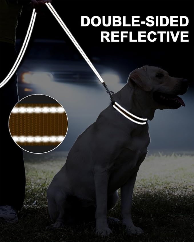 Taglory Dog Leash for Small Dogs, Double-Sided Reflective for Night Walking, Neoprene Padded Handle, 3/4 inch by 4 ft, Lightweight for Small Medium Breeds up to 30 lbs, Tan