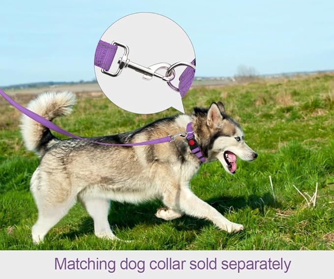 Taglory Dog Leash for Small Dogs, Double-Sided Reflective for Night Walking, Neoprene Padded Handle, 3/4 inch by 6 ft, Lightweight for Small Medium Breeds up to 30 lbs, Purple