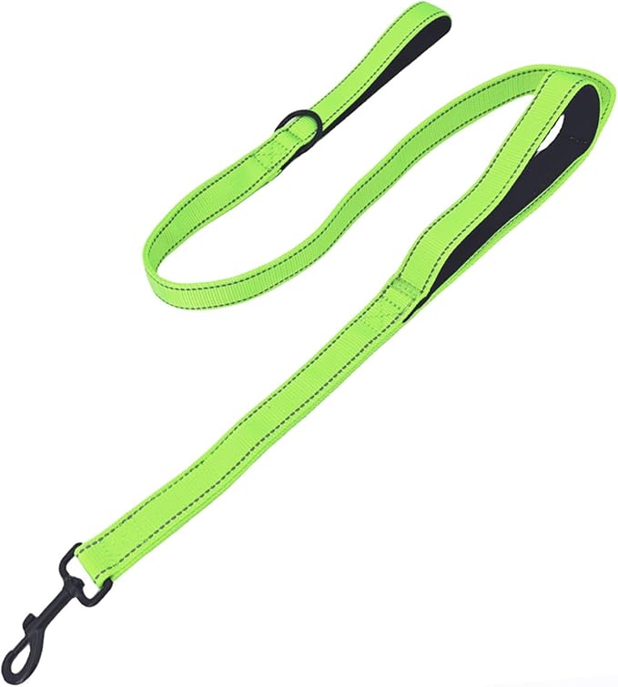 Solmoony 4FT Green Strong Dog Leash with 2 Padded Handles, Traffic Handle Extra Control, Double-Sided Reflective Walking Lead for Small Medium and Large Dogs(Green, 4FT)