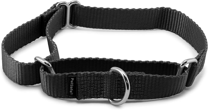 PetSafe Martingale Dog Collar Medium, 3/4 Inch, Black