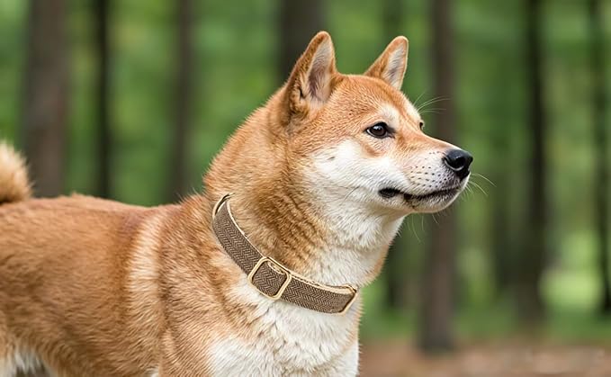 Soft Dog Collar and Leash Set Adjustable Woven Tweed Dog Collars with Metal Buckle and Lead for Small Medium Large Dogs,Coffee