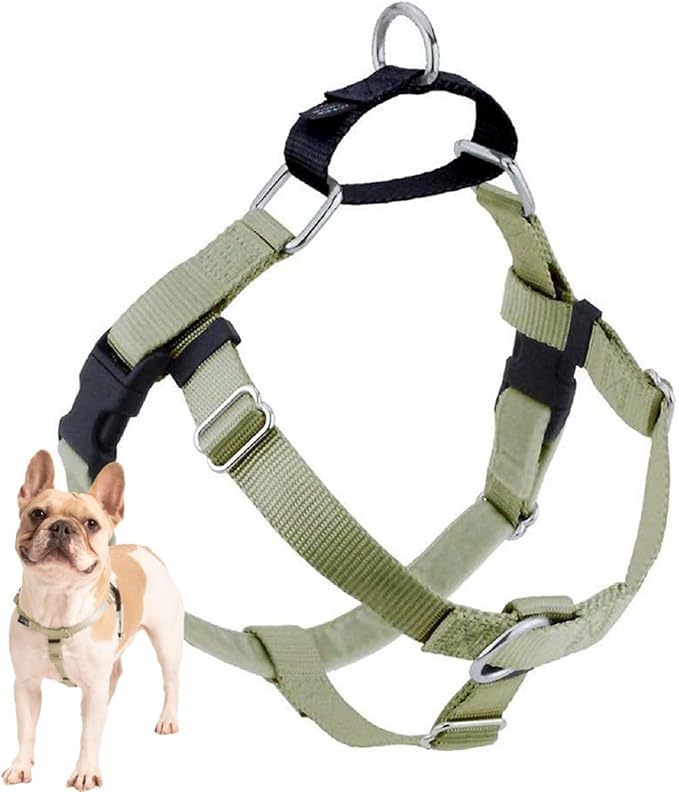 2 Hounds Design Freedom No Pull Dog Harness, Adjustable Harness, Easy Walking & Comfortable Control, Fits Small, Medium & Large Dogs, Solid Colors, Made in USA, 1" XL, Tan