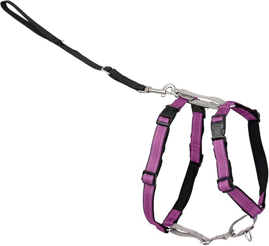 PetSafe 3 in 1 No-Pull Dog Harness for Medium Dogs- Walk, Train or Travel - Helps Pets from Pulling on Walks - Seatbelt Loop Doubles as Quick Access Handle - Reflective - Medium, Plum