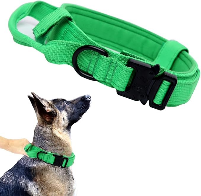 Tactical Dog Collar - Military Dog Collar - Adjustable Nylon - Heavy Duty Metal Buckle with Handle - Bright Green, Small