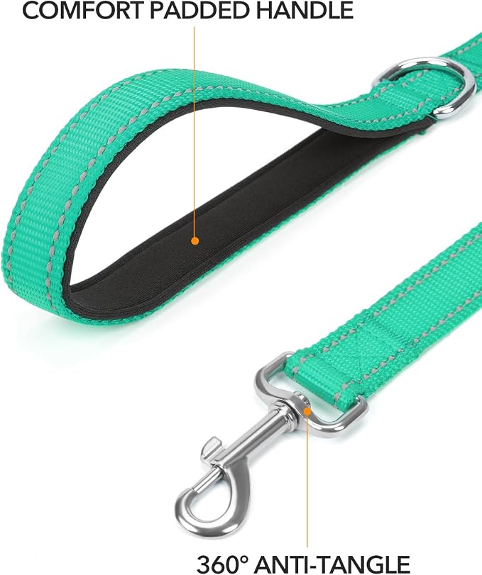 Taglory Dog Leash for Small Dogs, Double-Sided Reflective for Night Walking, Neoprene Padded Handle, 3/4 inch by 6 ft, Lightweight for Small Medium Breeds up to 30 lbs, Turquoise