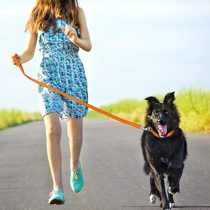 FunTags 4FT Orange Reflective Dog Leash for Large & Medium Dogs Training, Soft Padded Handle Comfortable Grip, Heavy Duty Nylon, Reflective for Night Walking, 1in Wide