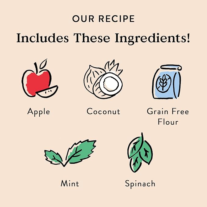 Bocce's Bakery Dailies Brushy Sticks to Support Oral Health & Fresh Breath, Wheat-Free Dental Bars for Dogs, Made with Real Ingredients, Baked in the USA, Natural Coconut & Mint Recipe, Small Dogs