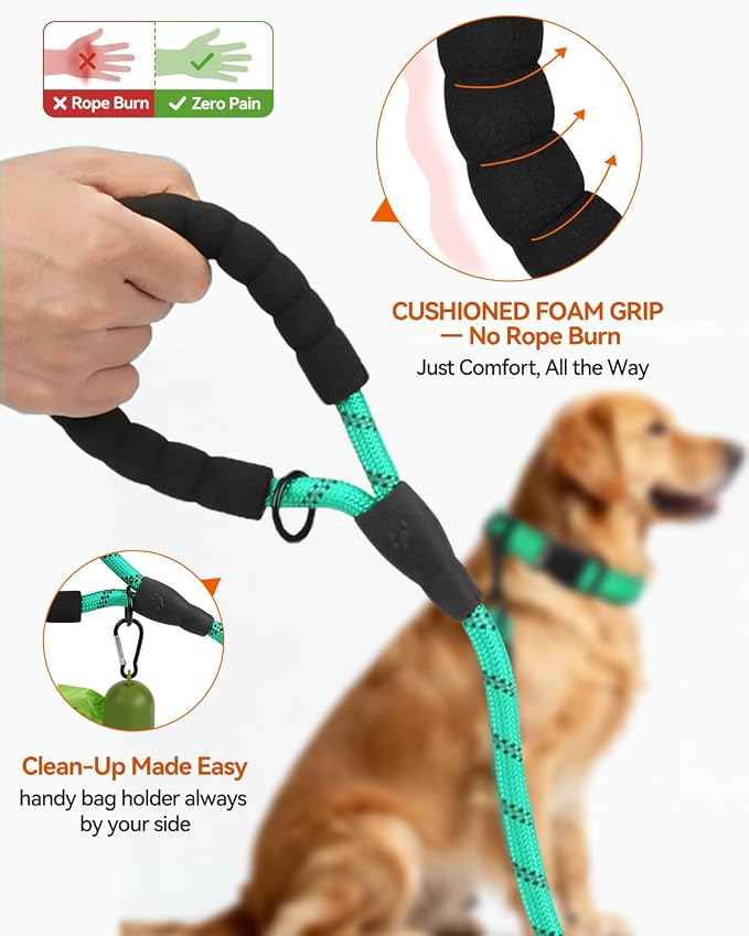 Joytale Dog Leash for Large Dogs, Heavy Duty Nylon Leashes with Comfortable Padded Handle and Highly Reflective Threads, Ideal for Walking and Training, Teal, 5'×1/2''
