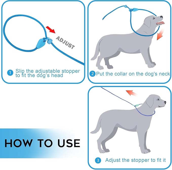 2 Pack Slip Leads for Dogs 6FT Slip Leash for Dogs Dog Lead Strong Nylon Dog Training Leash No Pull Rope Dog Leash Dog Leashes for Small Medium Dogs(Blue+Blue)