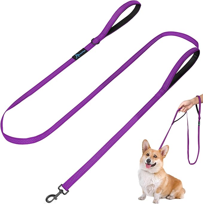 Dog Leash for Small to Medium Dogs 6 ft x 0.6" with 3 Reflective Stitching and 2 Traffic Padded Handles Dog Lead/Rope, Pet Leash for Running Walking Training (Purple 1 Pack)