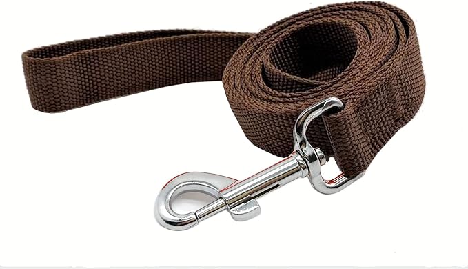 TAIAN 4FT/5FT/6FT Strong Dog Leash, Nylon Dog Leashes for Small Medium Large Dogs (1 in x 4 ft, Brown)