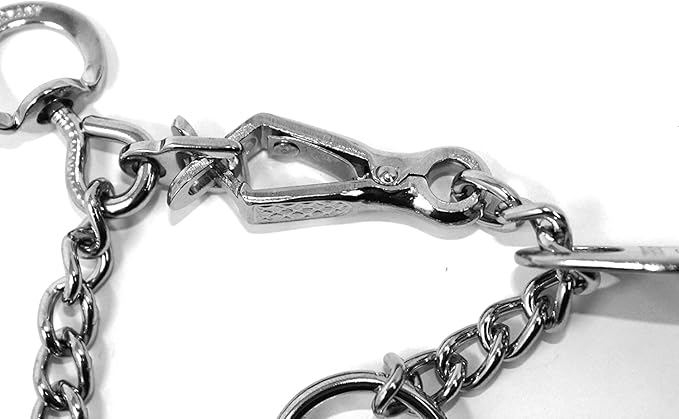 Herm Sprenger Chrome Plated Steel Training Prong Collar with Quick Release Snap for Dogs, Small, 2.25mm, 16-Inch (Neck Size up to 12-13 inches)