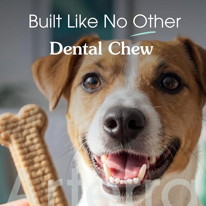 Arterra Pet Science Dog Dental Chews with Nano-Hydroxyapatite Next-Generation Daily Chews for Stronger Teeth, Fresh Breath, and Healthy Gut, 14 Count, Pack of 1