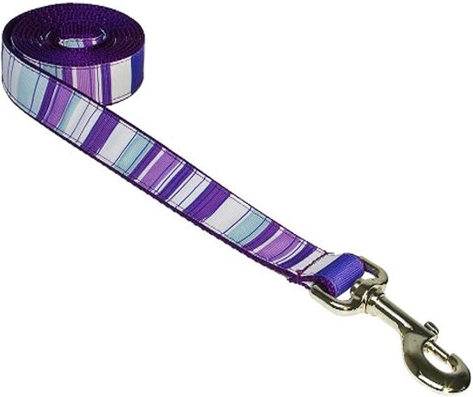 Large Purple/Multi Stripe Dog Leash: 1" Wide, 6ft Length - Made in USA.