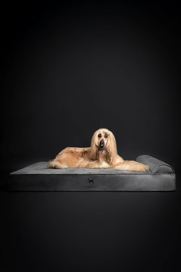 NOAH & PAW Giant Dog Bed XXL 55x45x9.5 Inch, Orthopedic Dog Beds, Eggshell Memory Foam Infused with Cooling Gel, Water Resistant, Machine Washable, Includes Inner Cover (Velvet Collection)