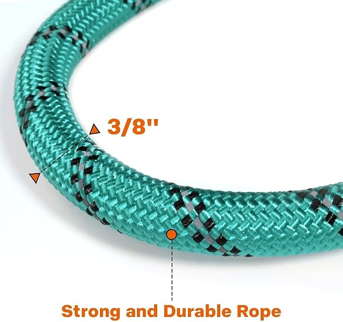 Taglory Rope Dog Leash 4 FT with Comfortable Padded Handle, Highly Reflective Threads Leash and Anti-Tangle Clip for Walking Small Dogs, 3/8 inch, Turquoise