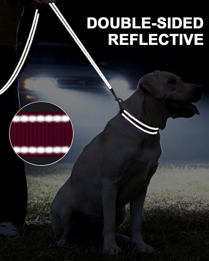 Taglory Dog Leash for Small Dogs, Double-Sided Reflective for Night Walking, Neoprene Padded Handle, 3/4 inch by 6 ft, Lightweight for Small Medium Breeds up to 30 lbs, Hot Pink