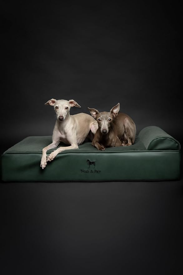 NOAH & PAW Large Dog Bed, 35x25x8.7 Inch, Orthopedic Dog Beds, Eggshell Memory Foam Infused with Cooling Gel, Water Resistant, Machine Washable, Includes Inner Cover (Faux Leather)