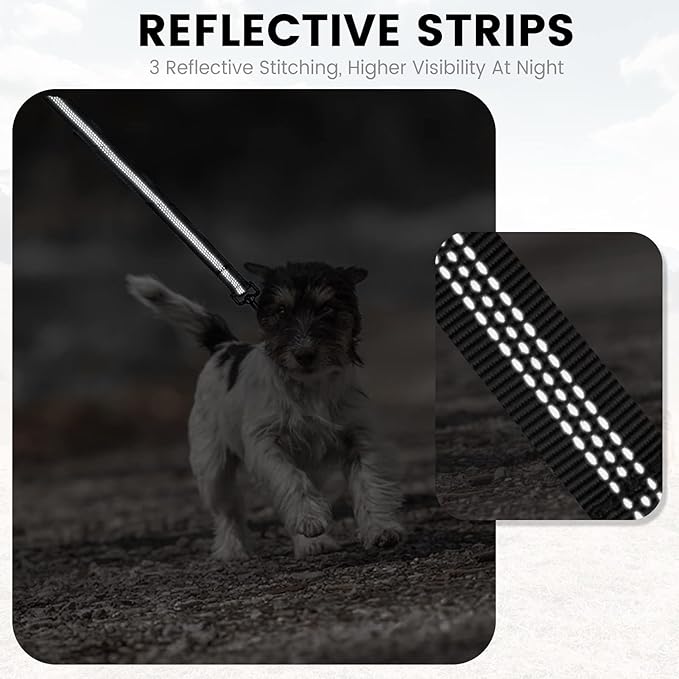 2 Pack Dog Leash for Small to Medium Dogs 6 ft with 3 Reflective Stitching and 2 Traffic Padded Handles Dog Lead/Rope, Pet Leash for Running Walking Training (6 ft x 0.6 in - Blue 2 Pack)
