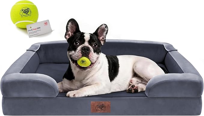 Dog Bed for Medium Large Size Dogs - Waterproof Memory Foam Soft Pet Couch with Removable Washable Bolster Cover,30 x 20