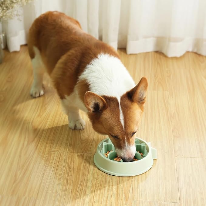 Soft Silicone Anti-Choking Puzzle Dog Bowl Insert - Anti-Slip Slow Down Eating Feeder for Regular Elevated Dog Bowls