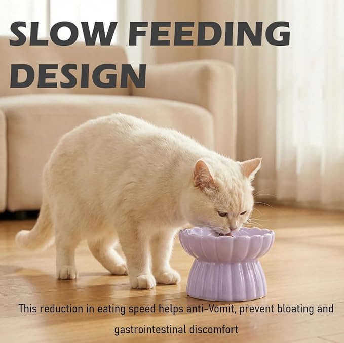 Ceramic Cat Slow Feeder, Raised Slow Feeder Cat Bowl, Anti Vomiting and Whisker Friendly Kitty Dish, Elevated Puppy Kitten Food Bowl for Dry and Wet Food (Purple)