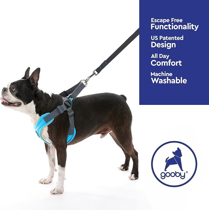 Gooby Escape Free Memory Foam Harness - Blue, Small - No Pull Step-in Dog Harness with Four Point Adjustment for Small to Medium Dogs
