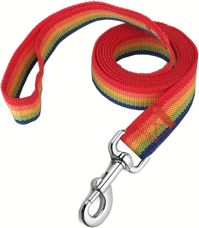 Strong Nylon Dog Leash, 4FT/ 5 FT/ 6FT Dog Leashes for Medium Large Dogs (5FT, Rainbow)