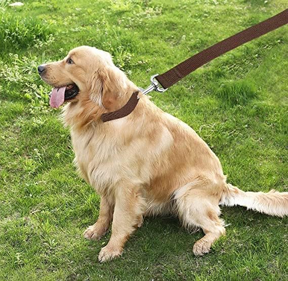 TAIAN 4FT/5FT/6FT Strong Dog Leash, Nylon Dog Leashes for Small Medium Large Dogs (Brown, 1 in x 15 ft)
