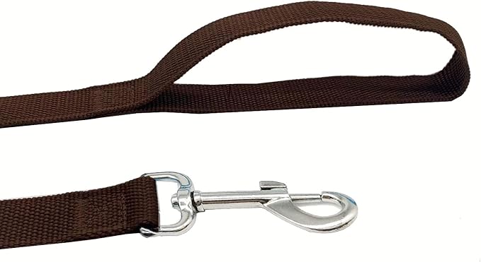 TAIAN 4FT/5FT/6FT Strong Dog Leash, Nylon Dog Leashes for Small Medium Large Dogs (1 in x 4 ft, Brown)