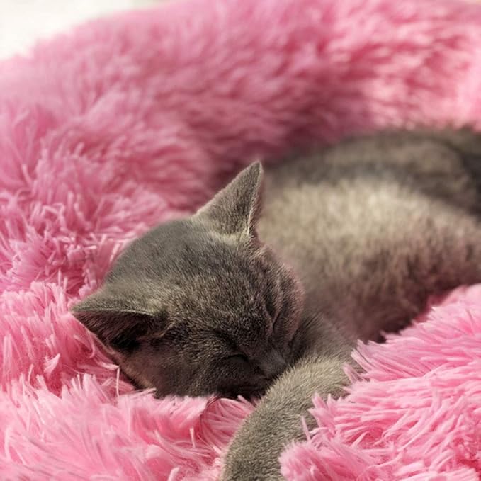 Modern Soft Plush Round Pet Bed for Cats or Small Dogs, Mini Medium Sized Dog Cat Bed Self Warming Autumn Winter Indoor Snooze Sleeping Cozy Kitty Teddy Kennel (24'' D x 8'' H, Hot Pink)