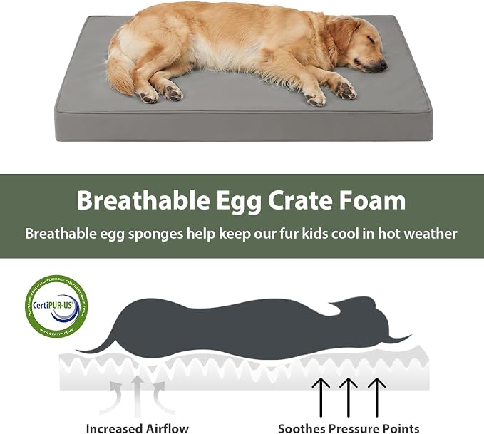 WNPETHOME Outdoor Dog Bed Waterproof, Large Outdoor Dog Bed for Large Sized Dog, Outdoor Indoor Dog Bed with Removable Washable Cover, Egg Crate Foam Dog Crate Mat, Durable Waterproof Dog Bed, Grey