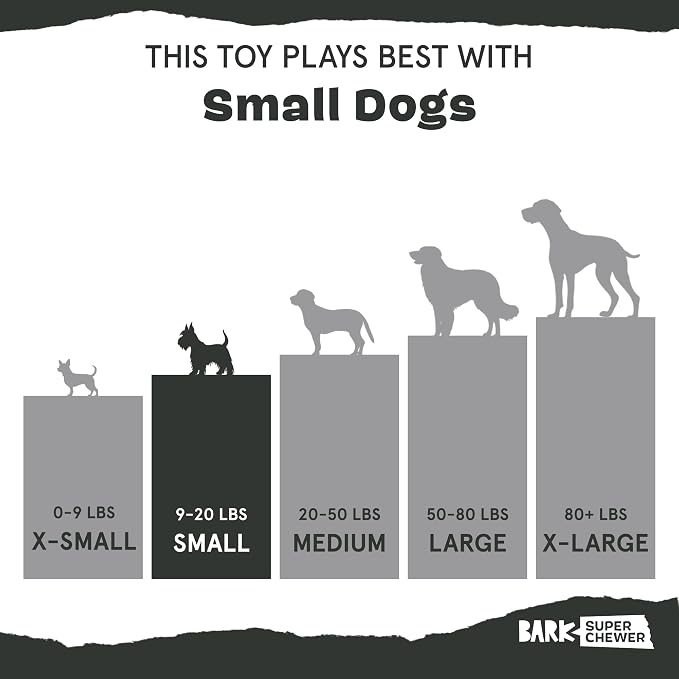 Barkbox Cherry Blasto Pop Dog Toy | Durable Nylon Popsicle Chew Toy for Aggressive Chewers | Dog Toys for Small Dogs, Puppy Teething Toys & Summer Fun