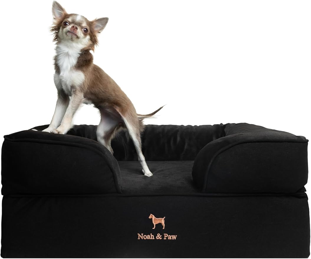 NOAH & PAW Dog Bed, 28x23x11 Inch, Orthopedic Dog Beds for Medium Size Pets, Eggshell Memory Foam Infused with Cooling Gel, Inner Cover, Water Resistant, Machine Washable (Denim Sofa Collection)