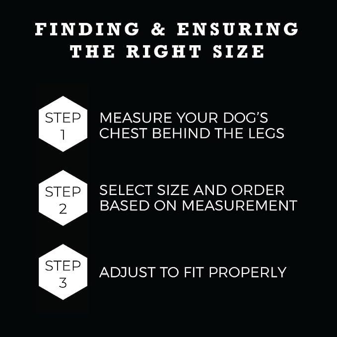 Wolfgang Heavy Duty Adjustable Dog Harness, Pull-Tested to Over 800 lbs for Walking & Training, DarkSkies Print, Small