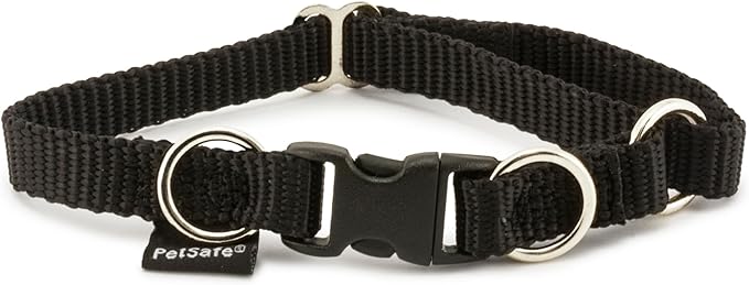 PetSafe KeepSafe Break-Away Collar 3/4 in Wide, Small, Black Prevent Collar Accidents for Your Dog or Puppy Improve Safety, Compatible with Leash Use, Adjustable Sizes